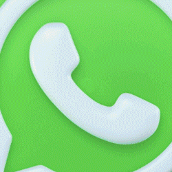 WHATSAPP ANGEL4D